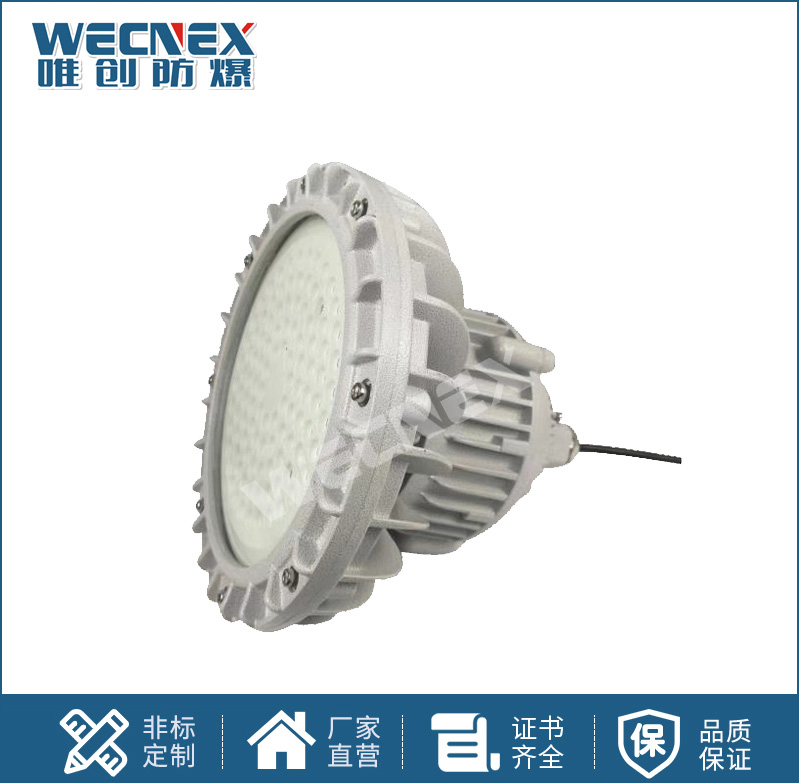 BWD96防爆LED照明灯50W-200W