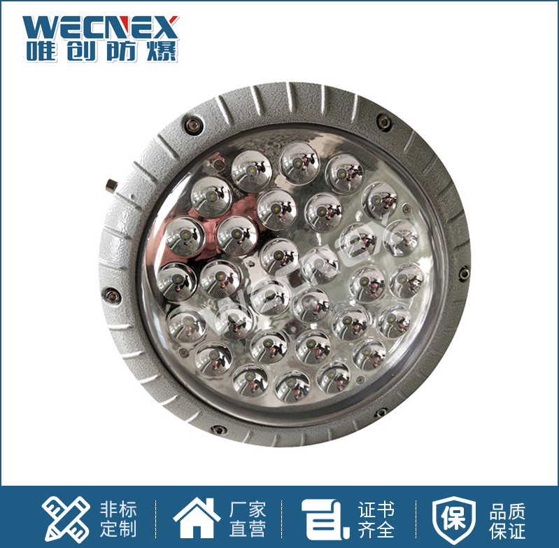 BWD130防爆LED照明灯10W-100W