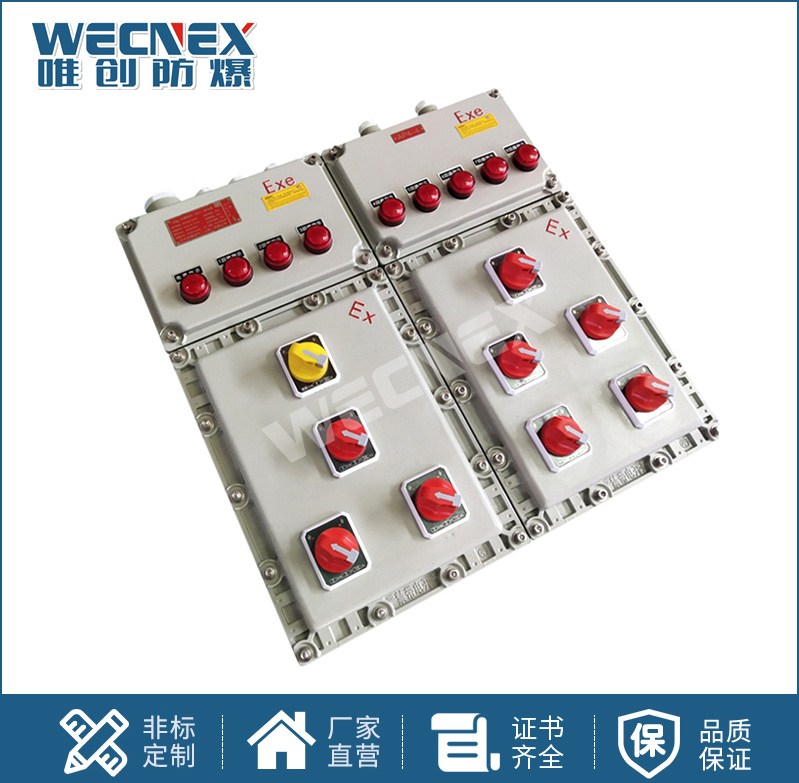 BXX 防爆动力检修箱