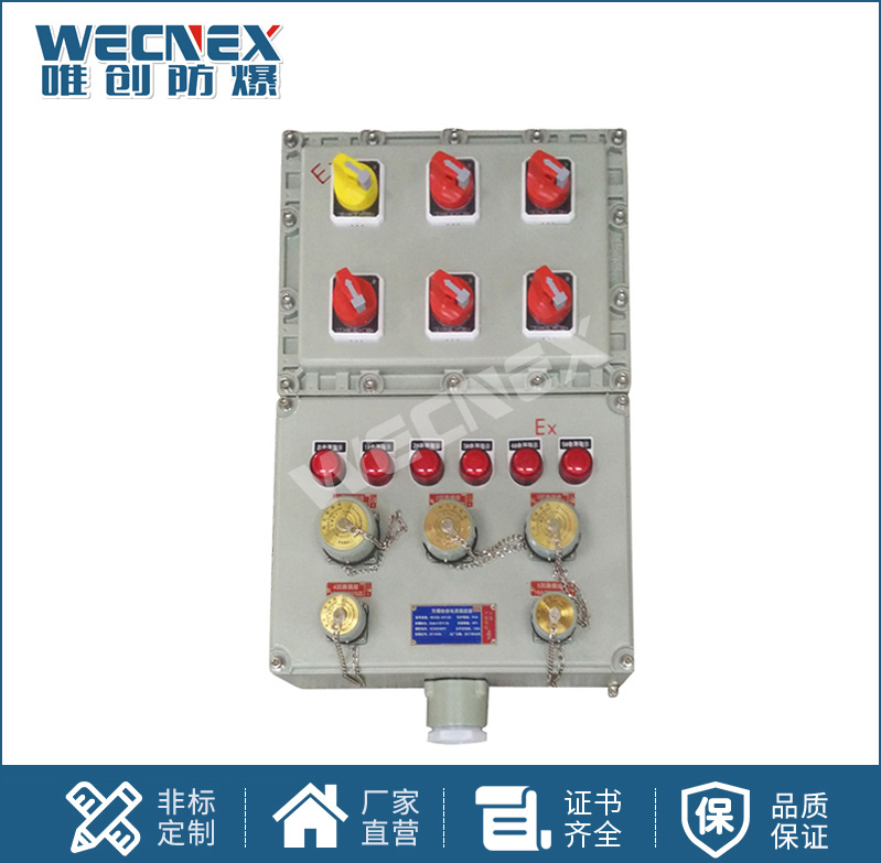 BXS防爆检修电源插座箱