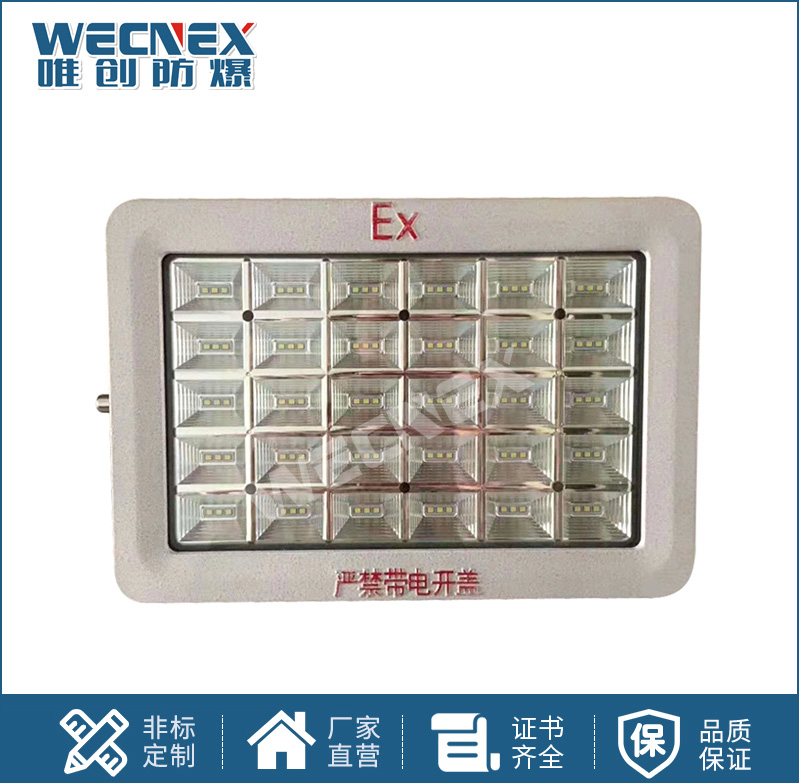 BWD97防爆LED照明灯20W-300W