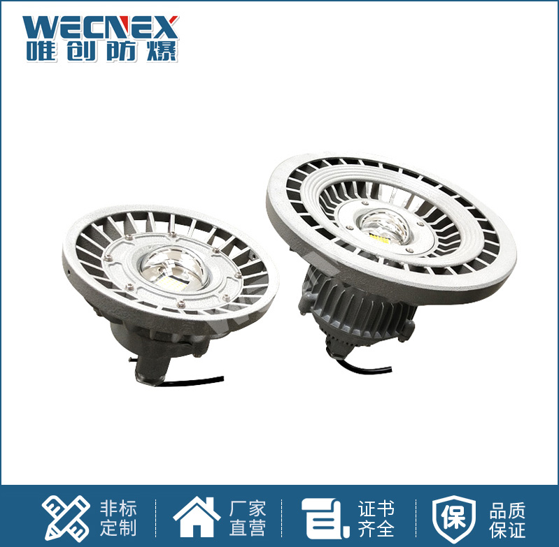 BWD130防爆LED照明灯10W-100W